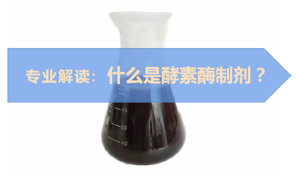 什么是酵素酶制劑？它具體有哪些作用？