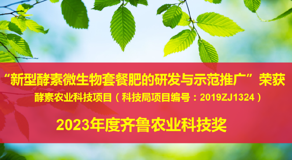 島本研究所“新型酵素微生物套餐肥項(xiàng)目”獲省級(jí)齊魯科技獎(jiǎng)項(xiàng)