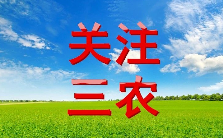 ?【島本酵素】2024年全國二十屆三中全會三農(nóng)政策及要點分享